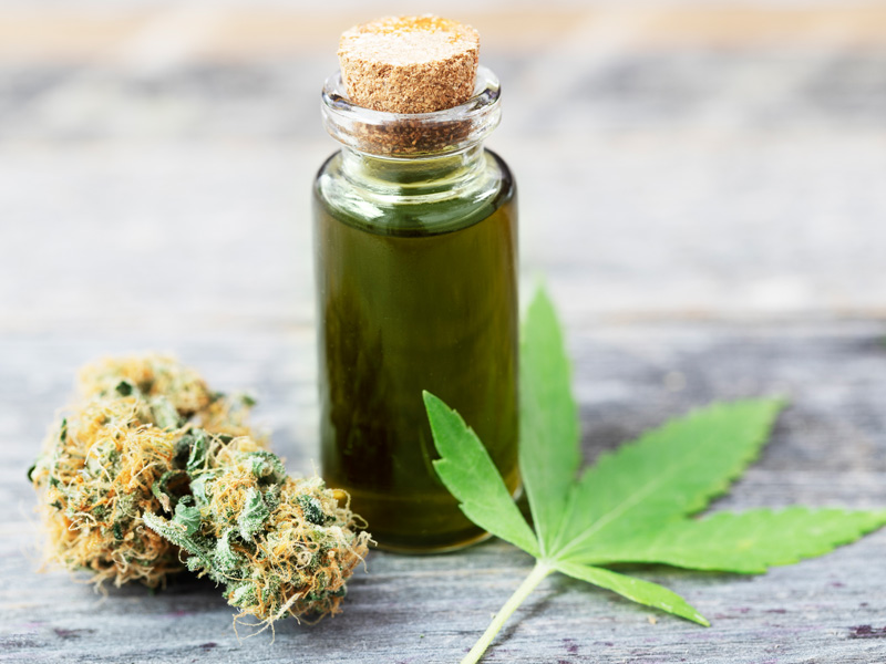 Best CBD Oil For Your Dog